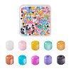 300Pcs 10 Colors Natural Freshwater Shell Beads SHEL-TA0001-06-10