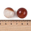 Natural Agate Sphere Beads GG-D003-A11-02-3