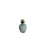 Miniature Glass Empty Wishing Bottles BOTT-PW0006-02G-1