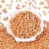 Picasso Glass Seed Beads SEED-N012-10B-2