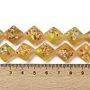 Frosted Handmade Lampwork Beads Strands LAMP-A010-01E-4
