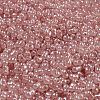 Ceylon Glass Seed Beads SEED-K009-02B-32-3