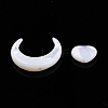 Natural White Shell Beads Sets SSHEL-N032-52B-02-3