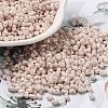 Glass Seed Beads SEED-K009-02A-01-1