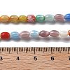 Handmade Millefiori Lampwork Beads Strands LAMP-F035-02-4