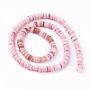 Natural Shell Beads Strands X-SSHEL-E571-49A-1