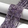Natural Amethyst Beads Strands X-G-G140-A04-01-2