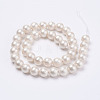 Wrinkle Textured Shell Pearl Beads Strands X-BSHE-E016-10mm-07-2