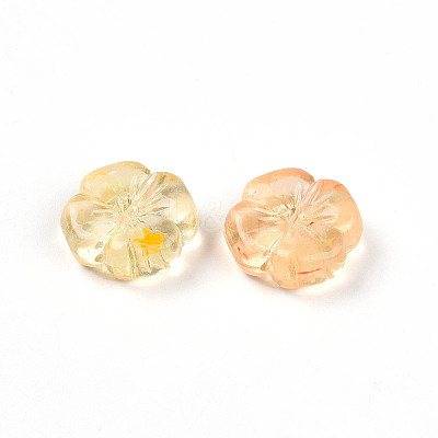 Transparent Acrylic Beads TACR-T028-40E-1