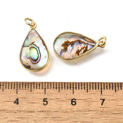 Natural Paua Shell & Epoxy Resin Pendants KK-E794-02G-02-1