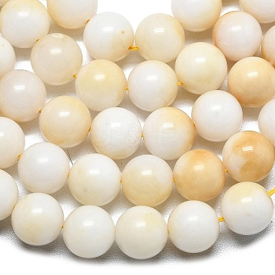 Natural Malaysia Jade Beads Strands G-L645-A01-10mm-28-1