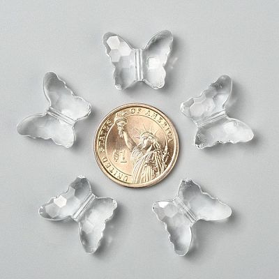 Transparent Acrylic Beads X-PL405Y-6-1