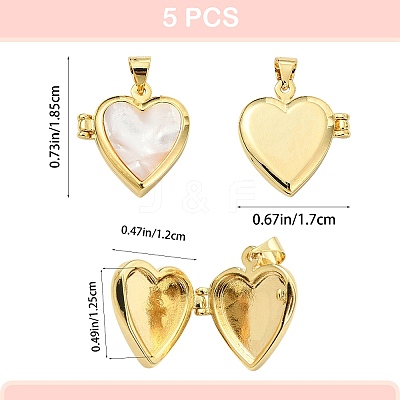 5Pcs Natural Shell Locket Pendants KK-SZ0006-51-1