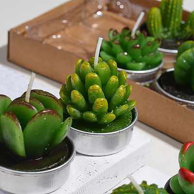 Cactus Paraffin Smokeless Candles DIY-G024-F-1