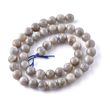 Natural Labradorite Beads Strands G-G212-8mm-23-1