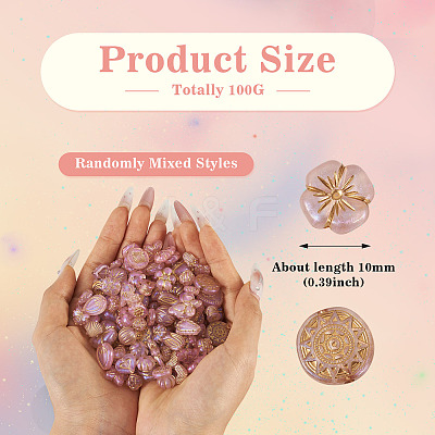 100G Transparent Acrylic Beads OACR-BT0001-05D-1