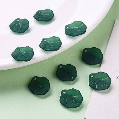 Transparent Frosted Acrylic Pendants MACR-S371-02A-735-1