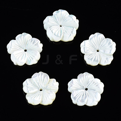 Natural White Shell Mother of Pearl Shell Beads SSHEL-T014-42B-1