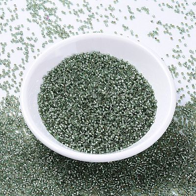 MIYUKI Delica Beads SEED-MY11-DB2165-1