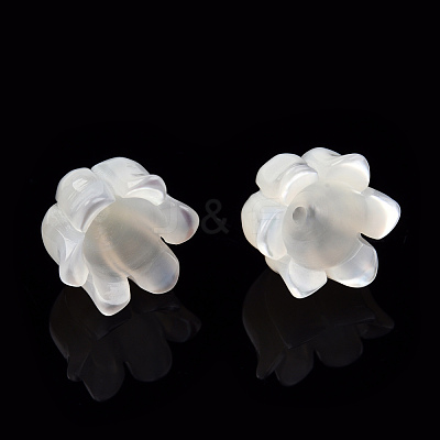 Natural White Shell Bead Caps SSHEL-N032-58B-1
