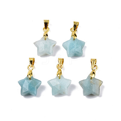 Natural Amazonite Charms G-N326-142-08-1