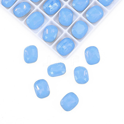 K9 Glass Rhinestone Cabochons MRMJ-N029-10-04-1