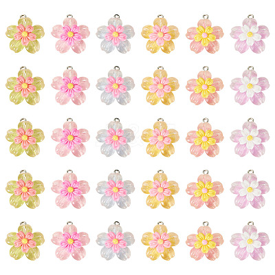 30Pcs 6 Colors Transparent Resin Pendants RESI-TA0004-74-1