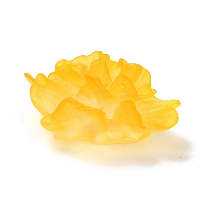 Transparent Resin Cabochons LS-RESI-G027-01C-1