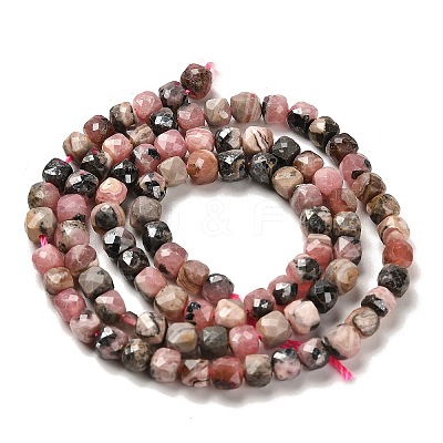 Natural Argentina Rhodonite Beads Strands G-B107-B01-01-1