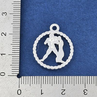 Twelve Constellations Alloy Pendants PALLOY-Q006-01E-S-1