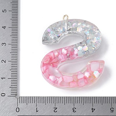 Resin Pendants RESI-B029-01P-S-1