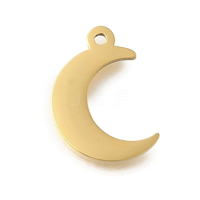304 Stainless Steel Charms STAS-U027-10G-04-1