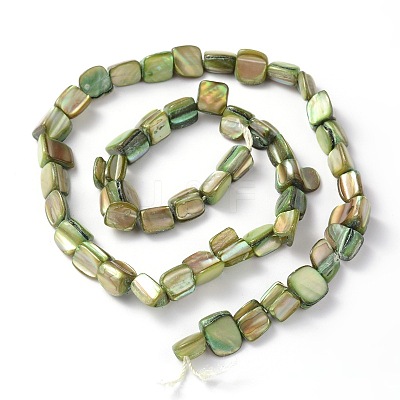 Shell Beads Strands PBB001-M-1