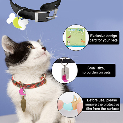48Pcs 2 Style 4 Colors Transparent Blank Acrylic Pet Dog ID Tag PALLOY-AB00044-1