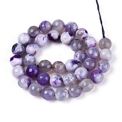Dyed & Heated Natural Fire Crackle Agate Beads Strands G-N359-01B-08-1