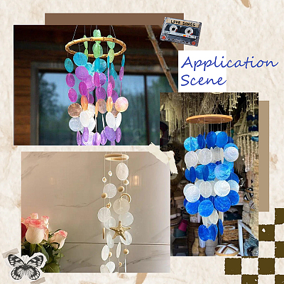 48Pcs 12 Colors Natural Shell Connector Charms SHEL-SC0001-72-1