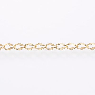 Handmade 304 Stainless Steel Curb Chains STAS-G038-11B-1
