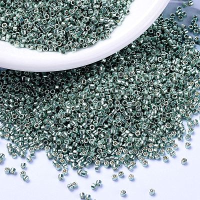 MIYUKI Delica Beads SEED-X0054-DB1846-1