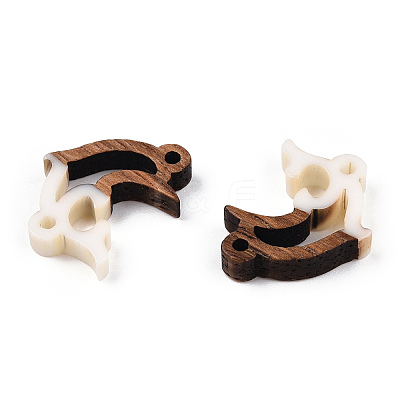 Opaque Resin & Walnut Wood Connector Charms RESI-N039-46H-1