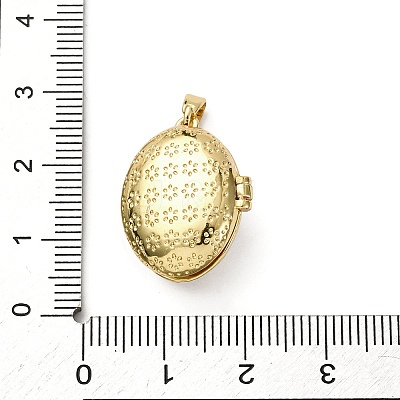 Brass Micro Pave Cubic Zirconia Locket Pendants X-KK-F912-02G-1