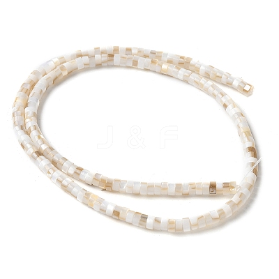 Natural Freshwater Shell Beads Strands SSHEL-C013-04A-1