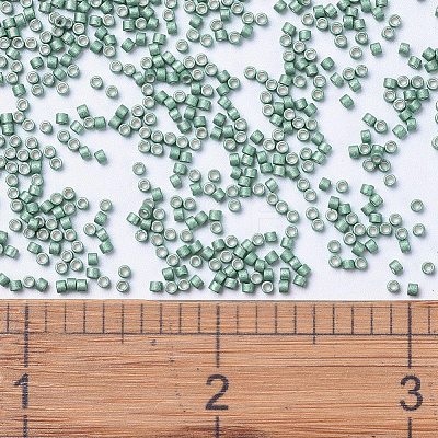 MIYUKI Delica Beads SEED-MY11-DB1171-1