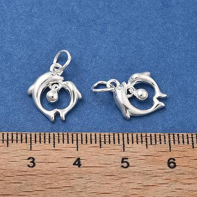 925 Sterling Silver Charms STER-D302-05B-S-1