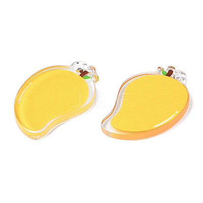 Translucent Acrylic Pendants TACR-N013-013-1