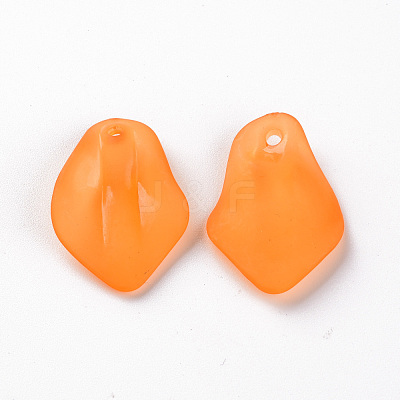 Transparent Frosted Acrylic Pendants MACR-S371-03A-724-1