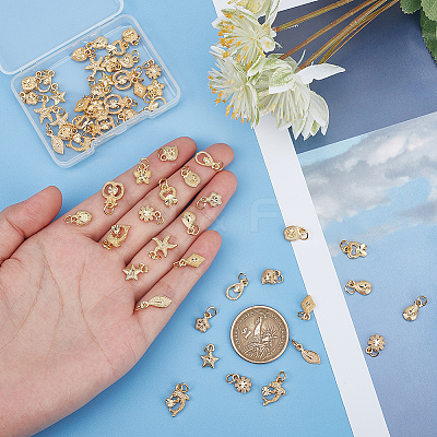 60Pcs 15 Style Electroplated Alloy Charms FIND-PH0006-30-1