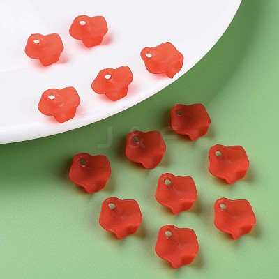 Transparent Acrylic Beads MACR-S373-106-D01-1