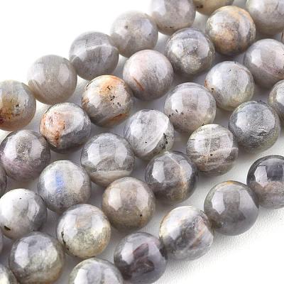 Natural Labradorite Beads Strands X-G-G212-8mm-23-1