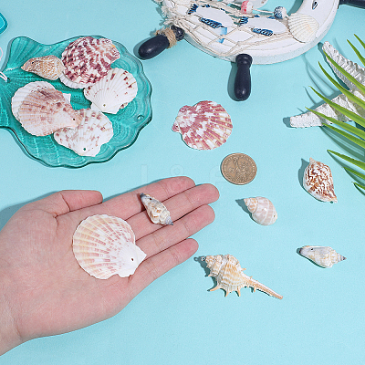 20Pcs 5 Styles Natural Shell Big Pendants BSHE-BM0001-01-1