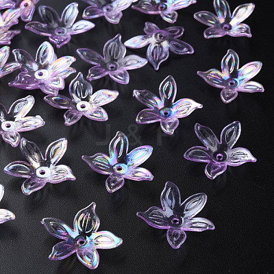 Transparent Acrylic Beads MACR-S373-102-C03-1
